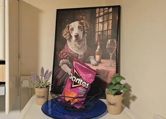 Stefaris Koutsou Court 105 Larnaca