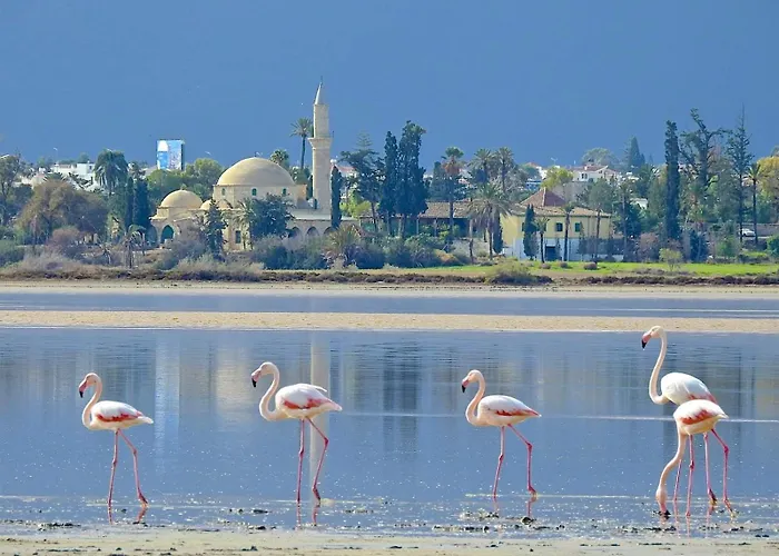 Stefaris Koutsou Court 105 Apartmán